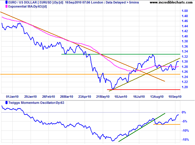 Euro US Dollar